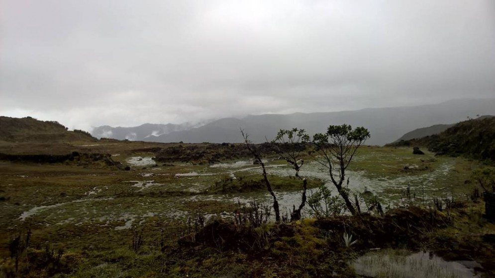 Chingaza National Park near Bogotá. A vital source of fresh water for the city. Photo: Ana Faggi