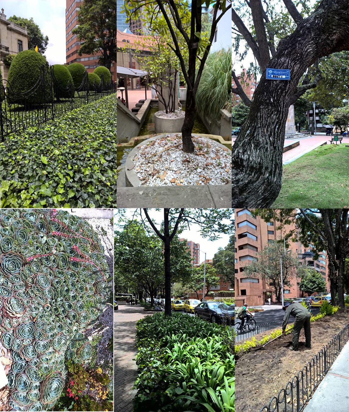 Some examples of the diverse green Infrastructure in Bogotá city. Photos: Ana Faggi