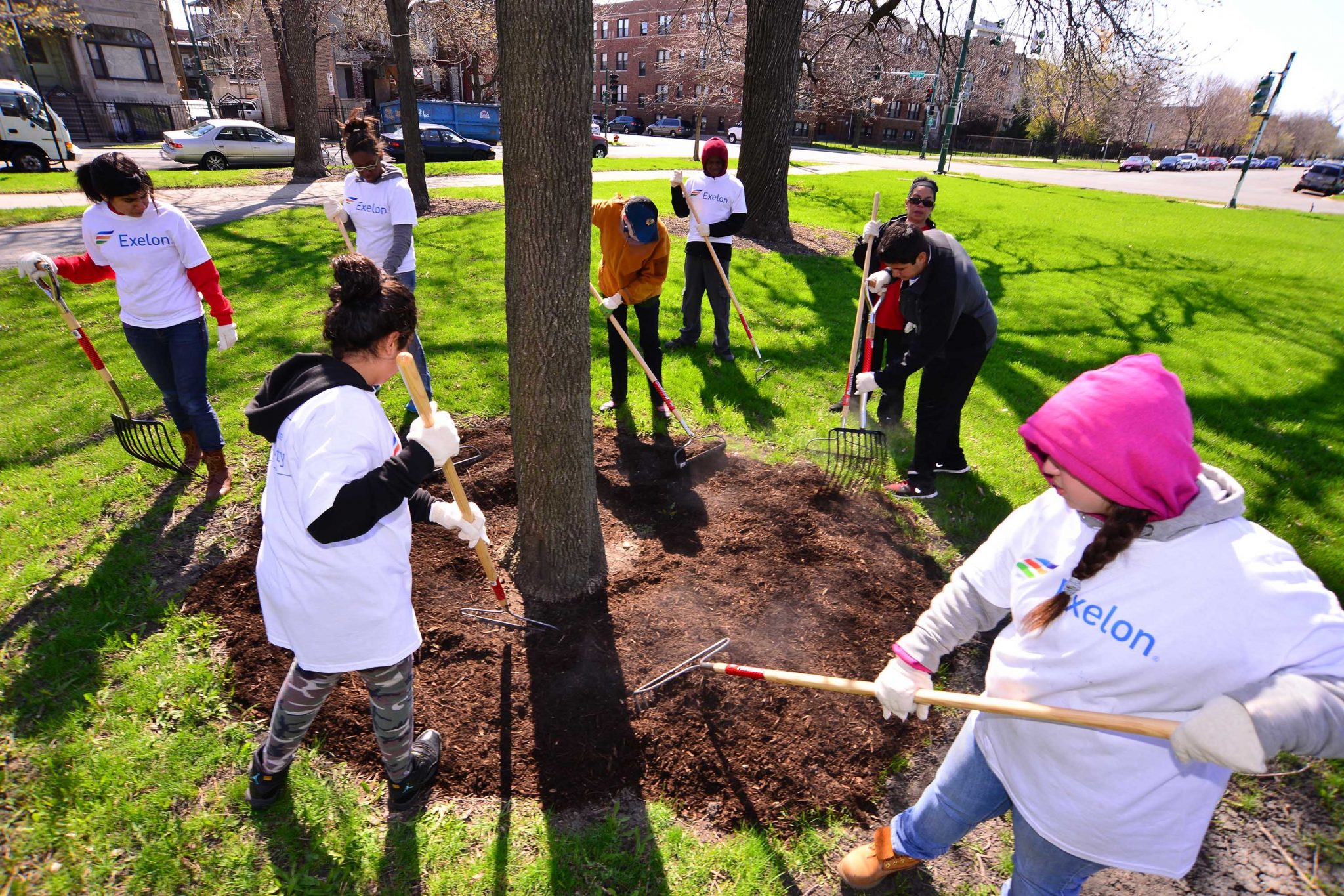 Opportunities and Challenges in Working with Volunteers in Local Parks