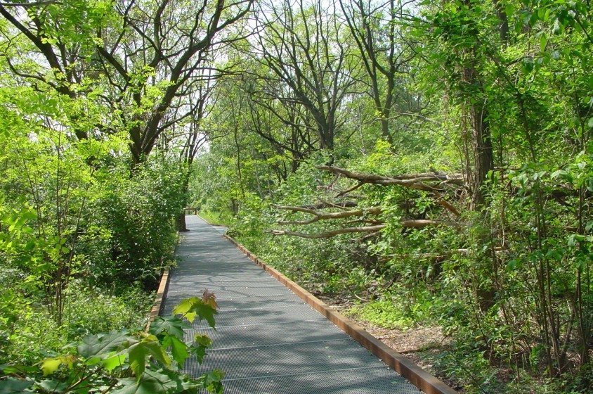 Access to the Nature of the fourth kind at S �dgel�nde, Berlin, a former railway yard