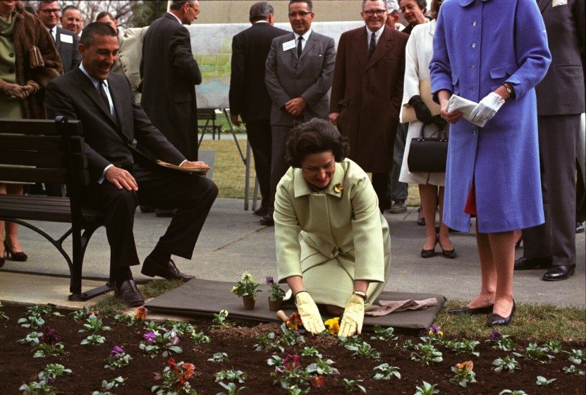 Lady Bird planting_med