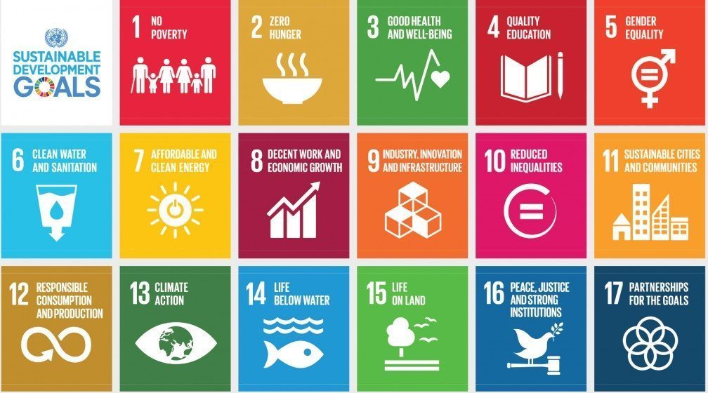 See https://sustainabledevelopment.un.org/topics for an interactive website of all 17 goals.