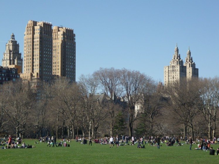 Central Park, New York City. Photo: Chantal van Ham