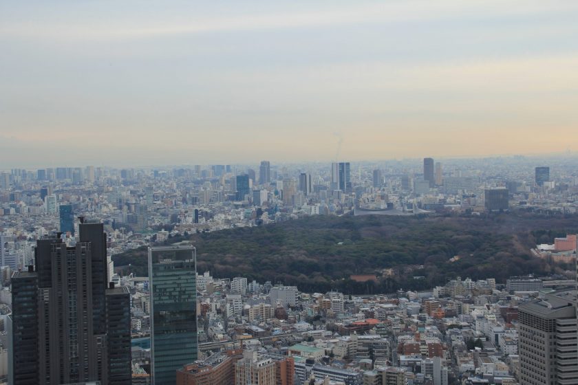 One of the big parks in Tokyo, Japan. Photo Maria Ignatieva