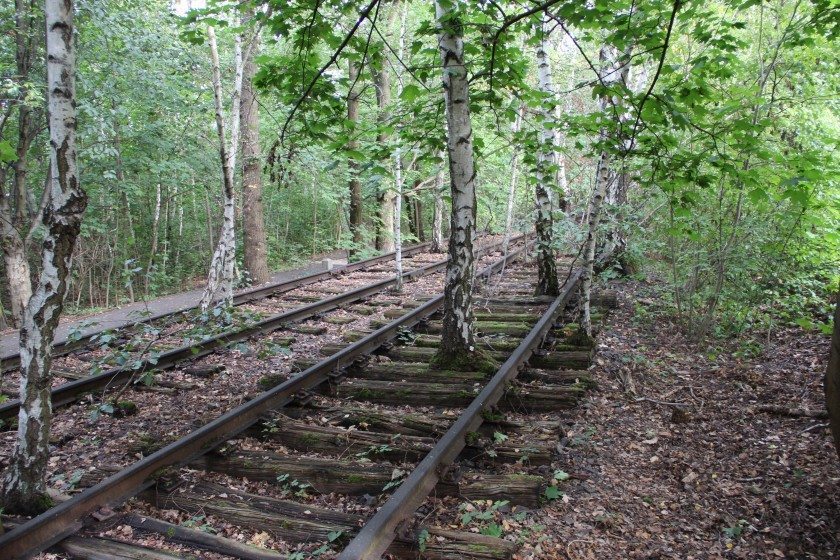 Park Südgelände in Berlin is one of the most famous examples of including vegetation on abandoned railways in a public park. Photo Maria Ignatieva