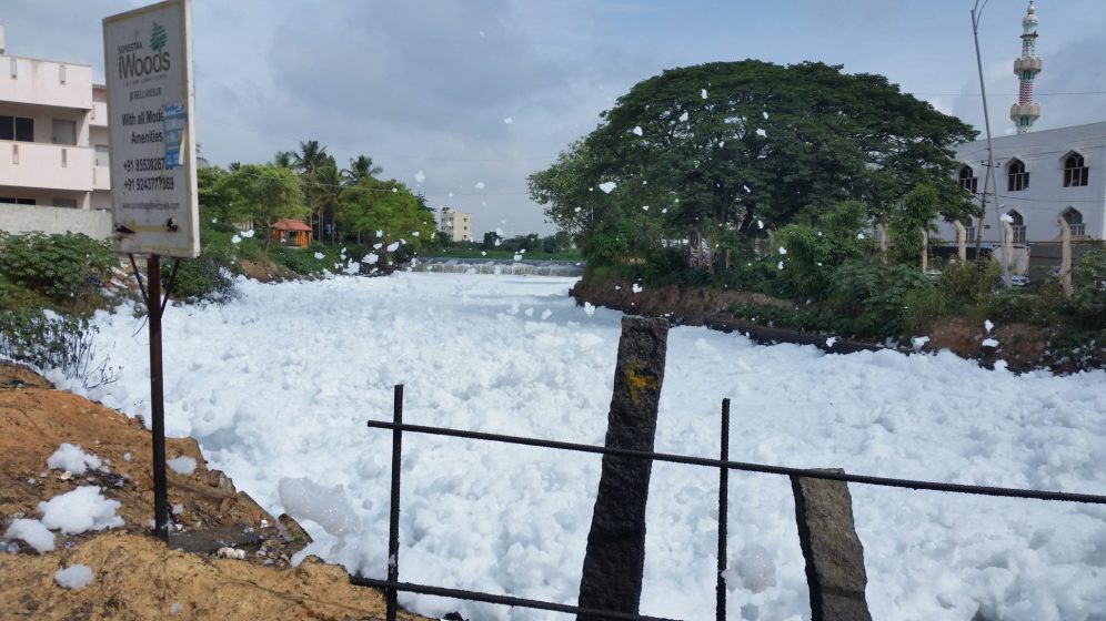 1. An advertisement for a 'woodsy' apartment near Bellandur lake, frothing with foam