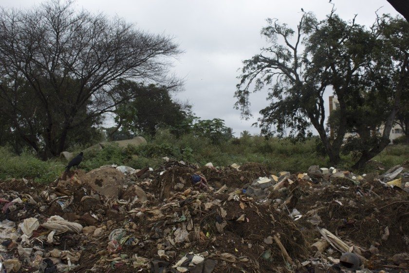 A lone crow sits atop a well-mixed garbage and mud pile along Dasrahalli Road in Bangalore