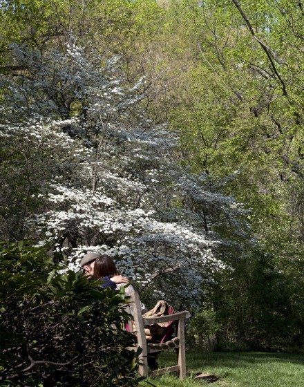 Dumbarton Oaks, Washington, D.C.(WEB)