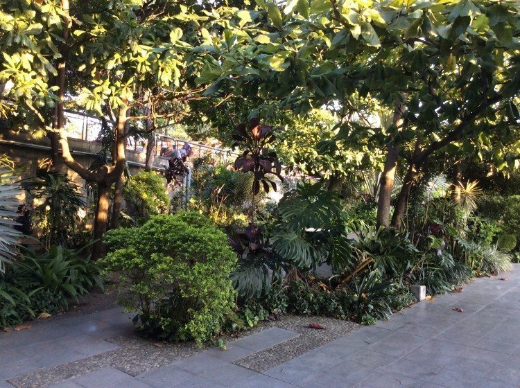 Figure 4. En Medellín
