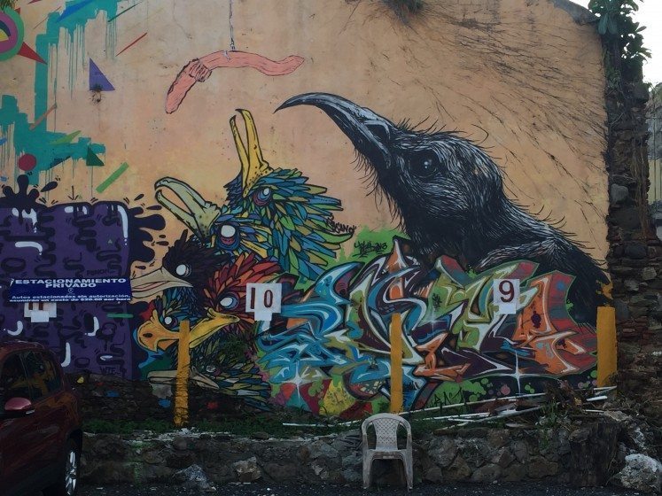 Fishing for birds in a Panama City, Panama parking lot. Photo: David Maddox