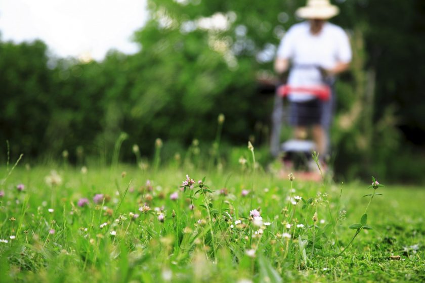 Hall_Mowing a Lawn