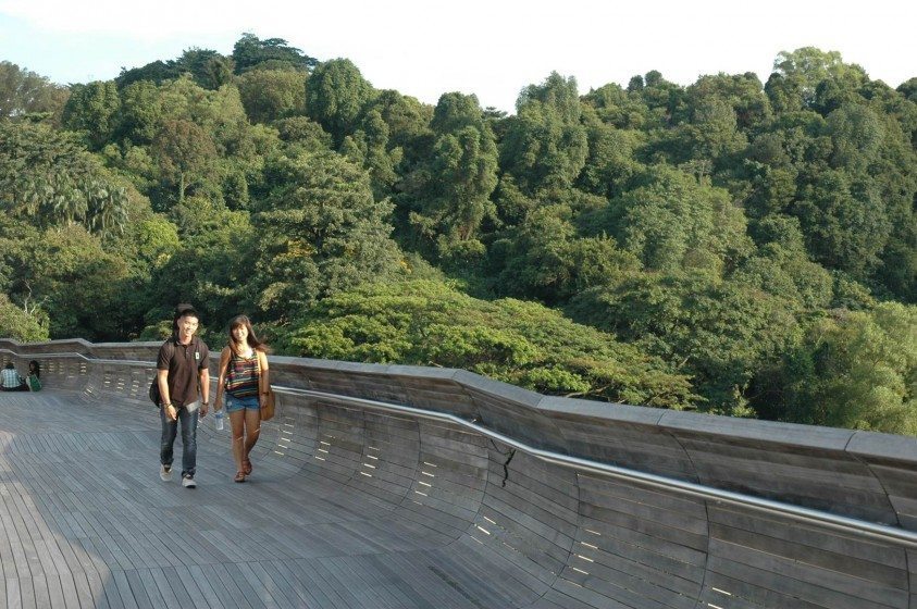 Henderson Wave Bridge Singapore