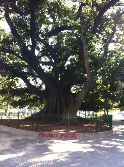 Monsanto Mata—Monsanto Kills, in a fancy Buenos Aires park. Photo: David Maddox