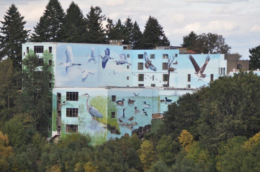 North America's largest mural at 55,000 square feet,overlooking Oaks Bottom Preserve in Portland, Oregon. Commissioned and photographed by Mike Houck.