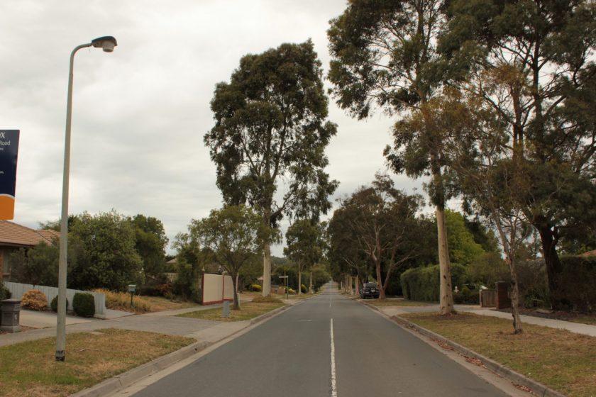 The streetscape of the street on which I live