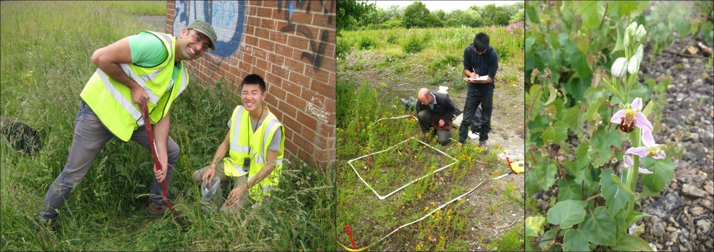 Fig 6 Sampling brownfields