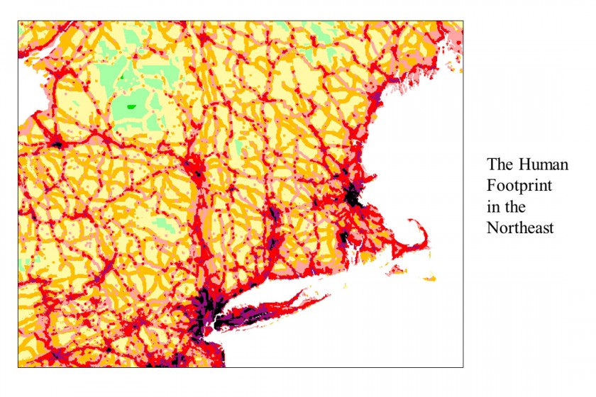 human footprint in northeast