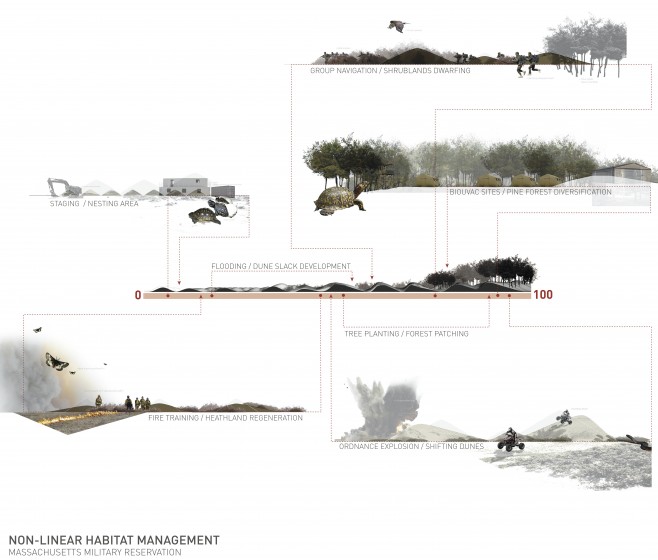 Non-linear habitat management: Dynamic uses proposed for Massachusetts Military Reservation at various stages of ecological succession. Images: Geneva Wirth, 2008.