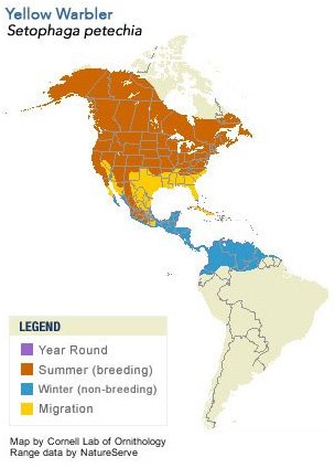 yellowwarblermap