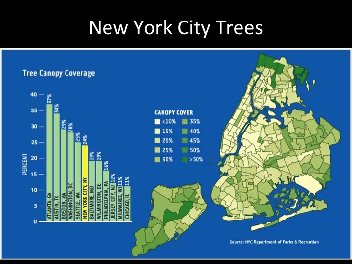 New York City tree cover. Source: New York Department of Parks and Recreation