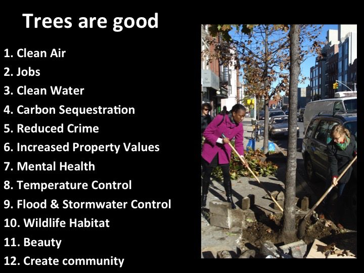 Trees are good--David Maddox