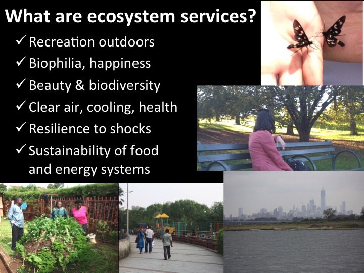 What are ecosystem services--David Maddox