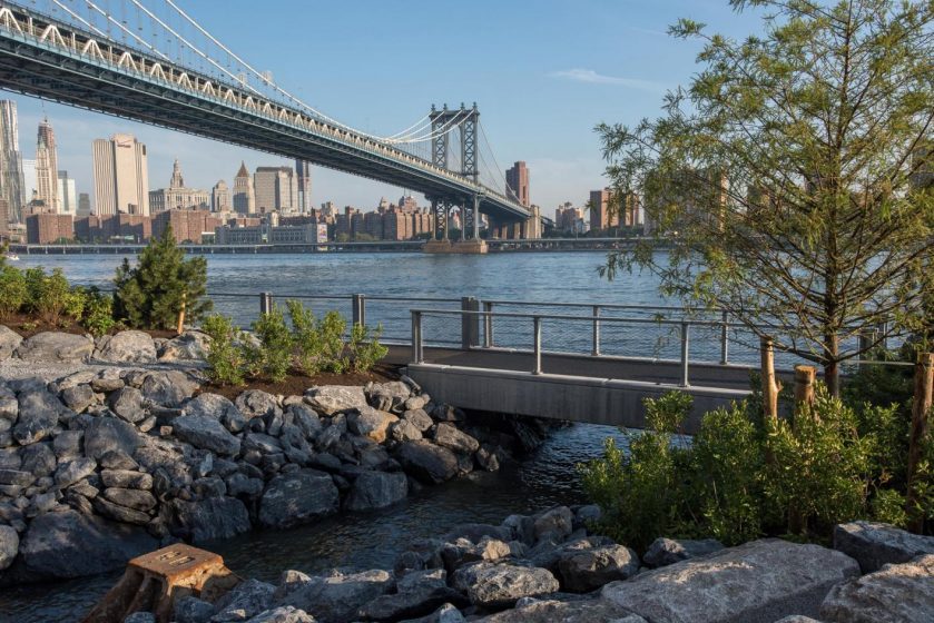 Brooklyn Bridge Park Tidal Wetlands_Julienne Schaer for Brooklyn Bridge Park