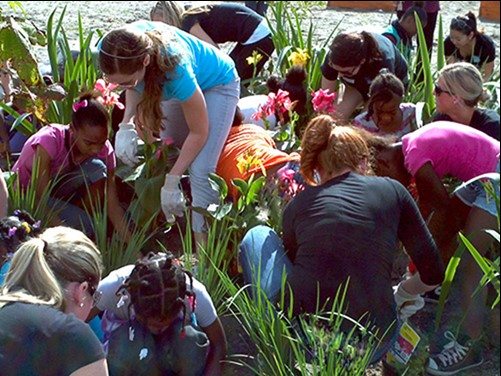 Residents participating in Keep Tampa Bay Beautiful