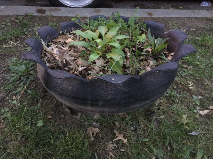 Car tire planter