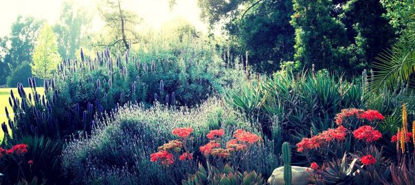 In the fragrant gardens of Karachi, a tapestry of secrets, woven between  the past and present, has long remained hidden, casting shadows…