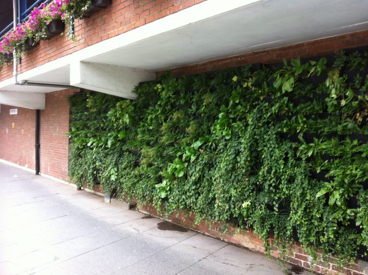 03_Fair St Vertical Rain Garden