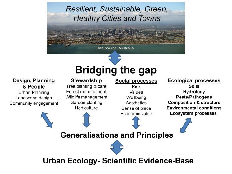 Urban Ecology Reformation Is Spreading Across The Globe The Nature Of Cities