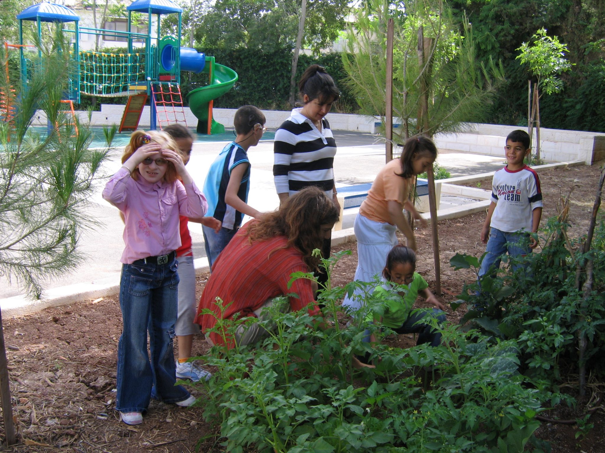 botany researching papers botany exploration papers