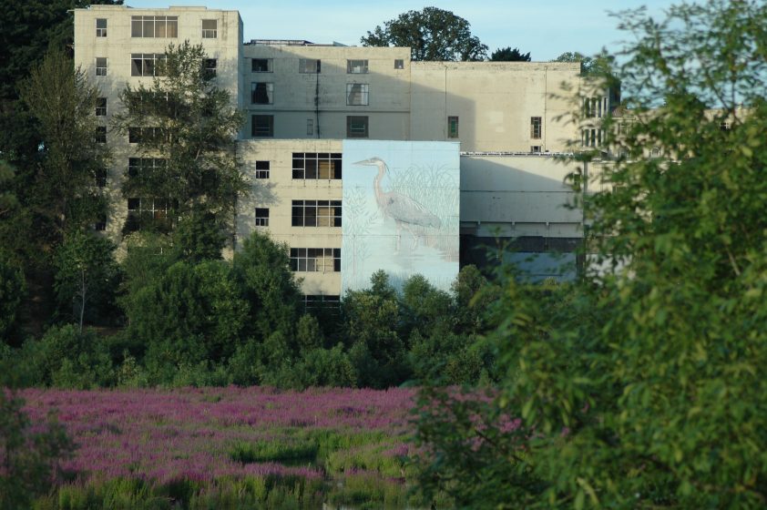 Image 3 Great Blue Heron mural 1991 Photo Mike Houck DSC_0226