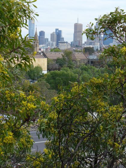 Melb CBD from Studley Park by Nicole Middleton