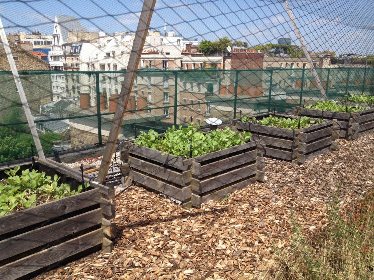 Roofgarden_by Esther