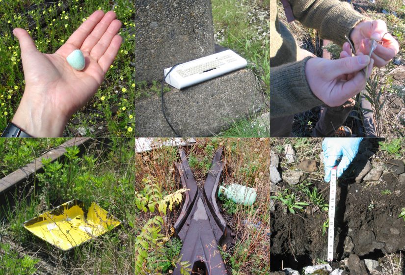 Found objects and accumulated soil on the High Line pre - 2004. Credit: © James Corner Field Operations