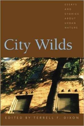 city wilds cover