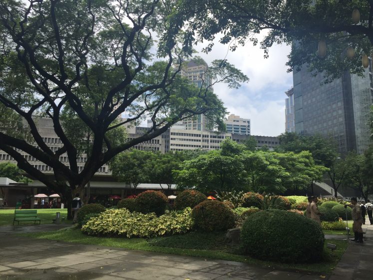 ayala-triangle