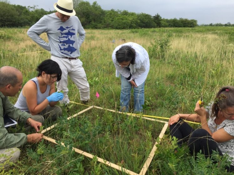 nac-student-researchers-in-jamaica-bay