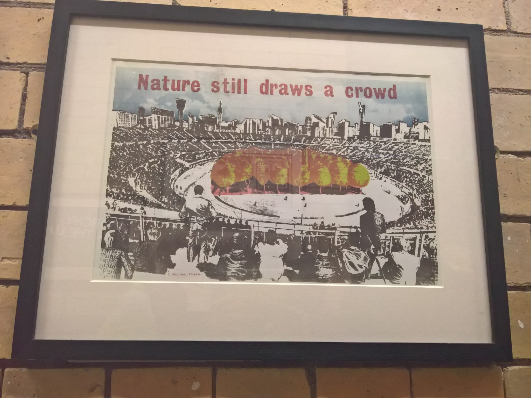 How can we make urban nature and its value more apparent, more “visible ...