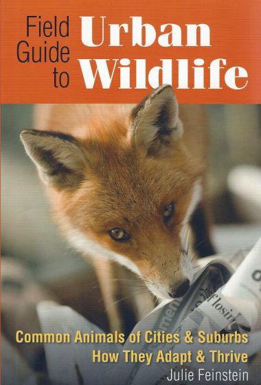 cover-field-guide-to-urban-wildlife