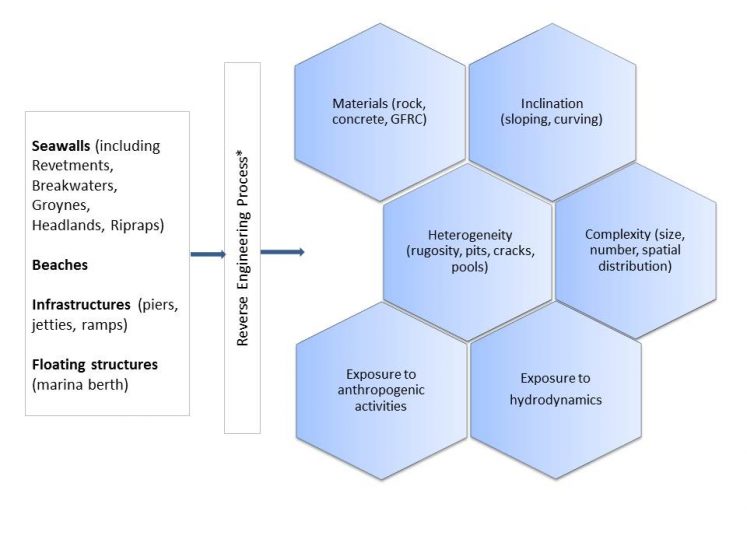 figure-1_a-framework-to-assess-coastal-structures-and-their-friendliness-toward-biodiversity