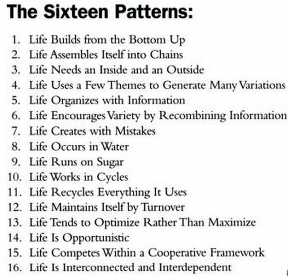 2b_mahlon-bush-hoagland-the-16-patterns-of-life-copie