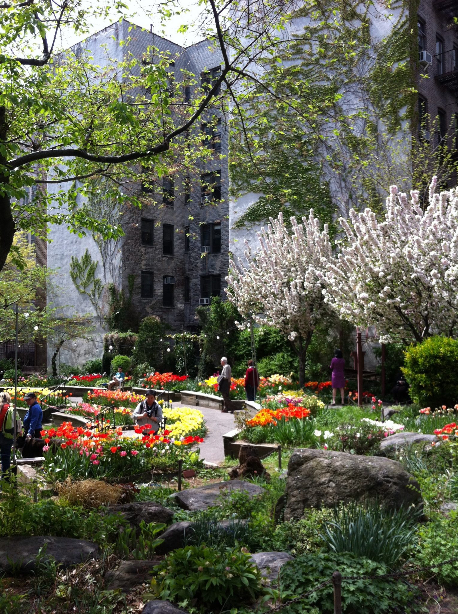 A public garden between apartment buildings in New York City. Photo: David Maddox