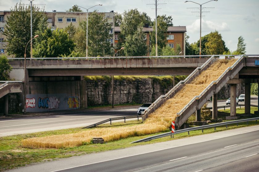 8-by-tonu-tunnel