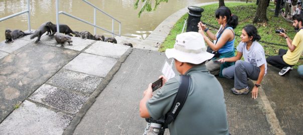 Getting Humans Learn to Live Harmony with Wildlife – The of Cities