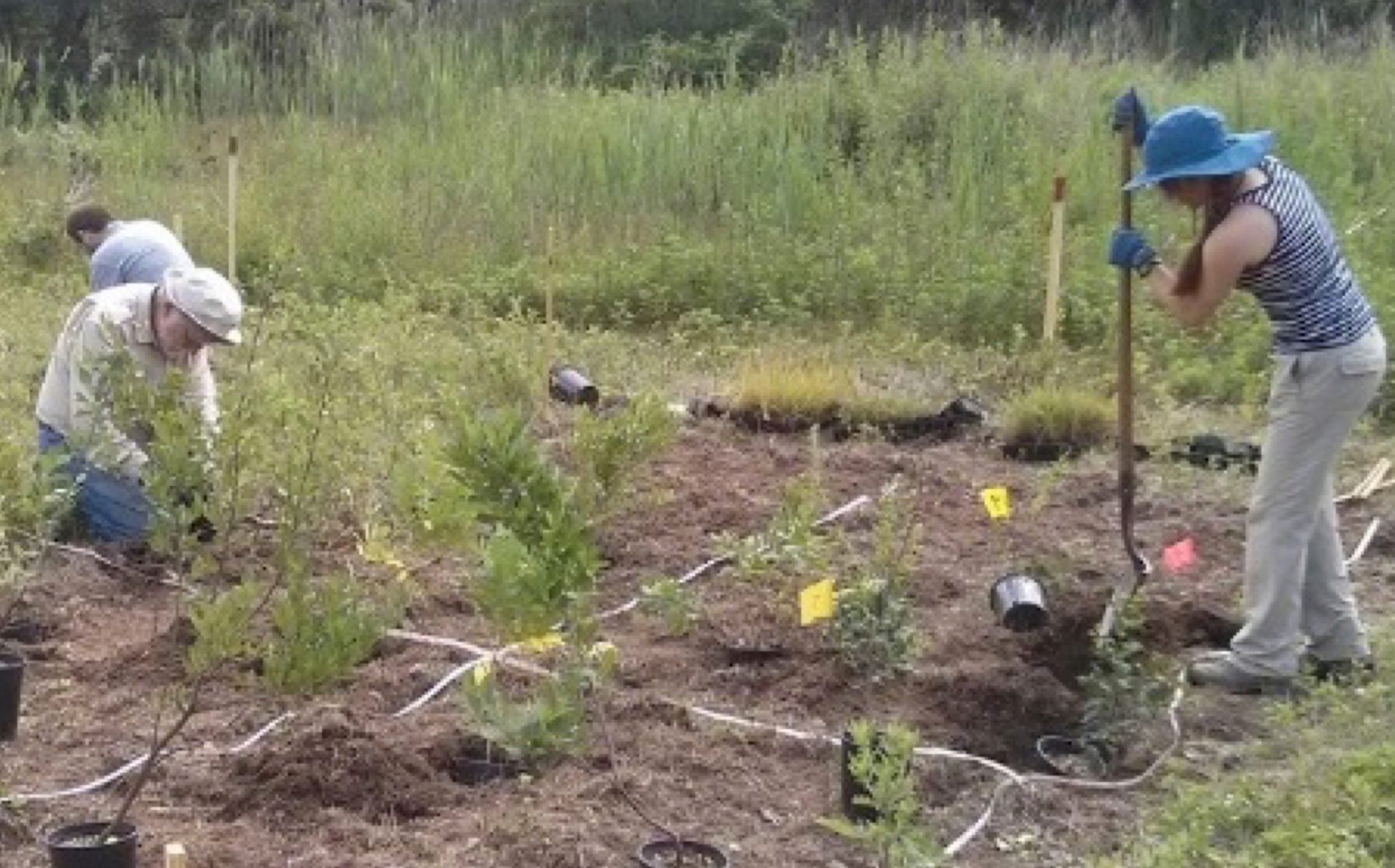 The Seven Habits of Highly Effective People Who Want to Do Ecological