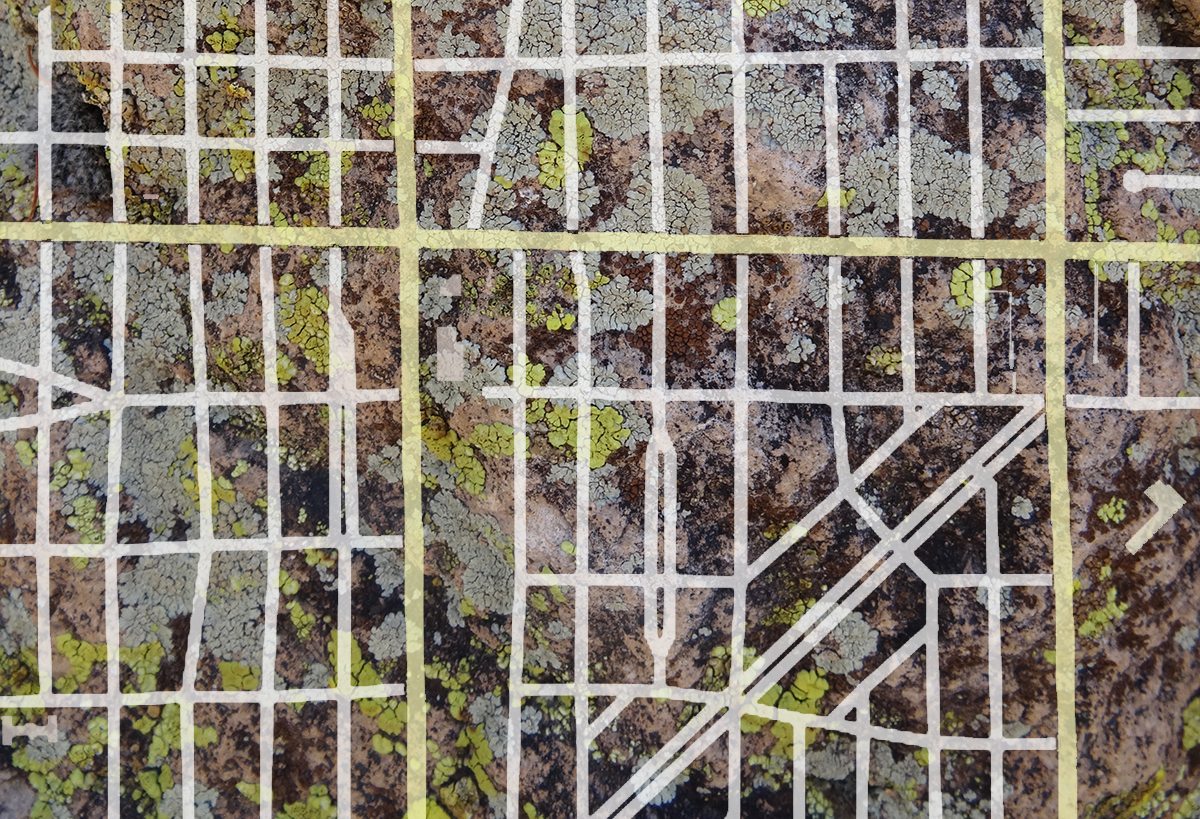 https://www.thenatureofcities.com/TNOC/wp-content/uploads/2018/06/Lichen-streets-FEATURE.jpg