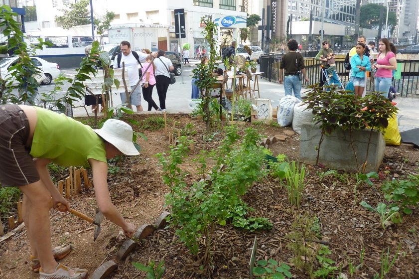 The Nature Of Cities An Idea Hive Of Green City Building - 